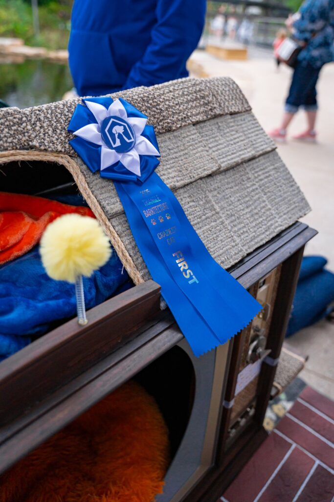 And the Craziest Cat award goes to The Barky Bunch!